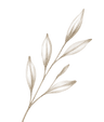 Kłos